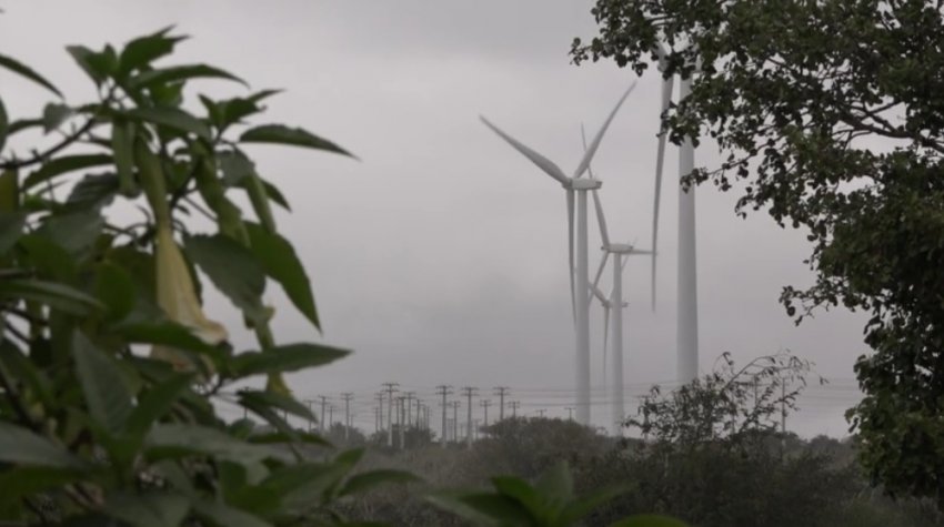 Quais impactos dos parques eólicos em Pernambuco?