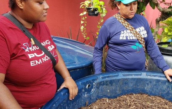 Agroecologia urbana, na comunidade Entra Apulso, garante vida com sustentabilidade para famílias