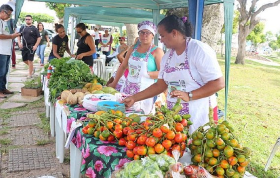 Agroecologia faz a diferença em 530 municípios brasileiros