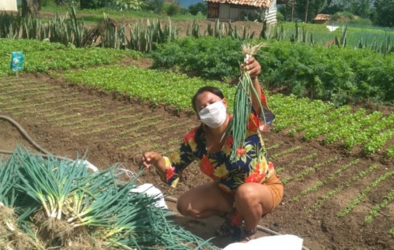 Programa de Aquisição de Alimentos traz esperança para os agricultores/as de Pernambuco