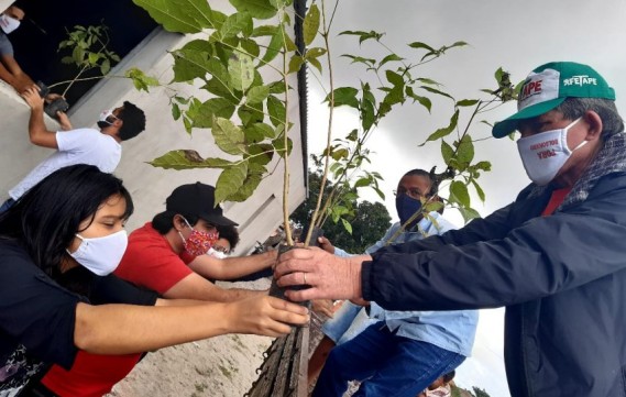 #ForaBolsonaro: ato promoveu plantio de mudas em comunidade quilombola de Caetés