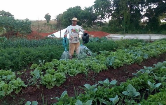 Cortes na agricultura familiar possibilitam aumento da insegurança alimentar no país