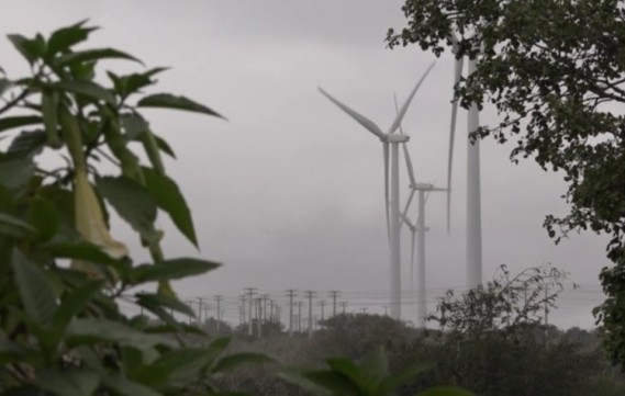 Comitiva avaliará impactos de parques eólicos no agreste de Pernambuco, nesta sexta-feira (06)