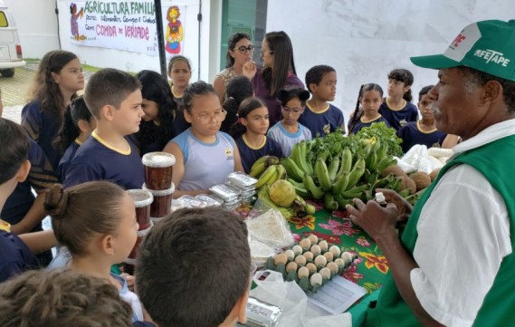 Feira agroecológica recebe estudantes para aula sobre alimentação saudável
