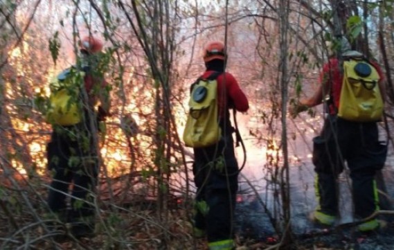 Bombeiros declaram extinto incêndio no Parque Estadual Mata da Pimenteira, em Serra Talhada
